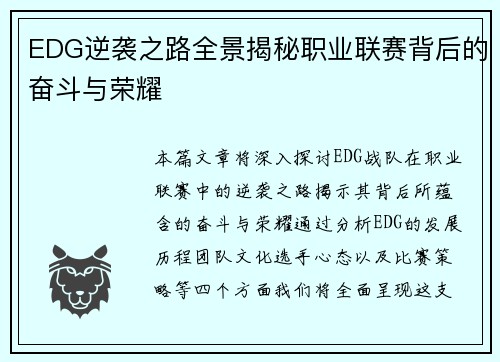 EDG逆袭之路全景揭秘职业联赛背后的奋斗与荣耀